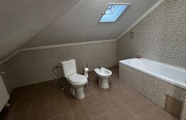 Ultracentral. Doua apartamente la casa , suprafata totala utila 150mp 