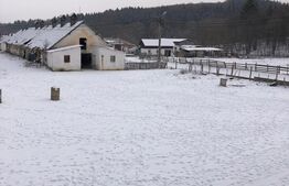 Teren intravilan de vânzare, 92.545 mp, zona Geamăna, Codlea