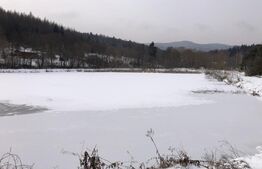 Teren intravilan de vânzare, 92.545 mp, zona Geamăna, Codlea