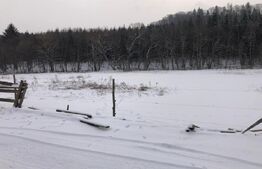 Teren intravilan de vânzare, 92.545 mp, zona Geamăna, Codlea