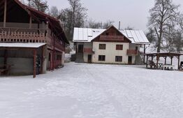Teren intravilan de vânzare, 92.545 mp, zona Geamăna, Codlea