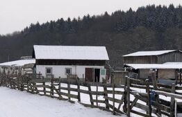 Teren intravilan de vânzare, 92.545 mp, zona Geamăna, Codlea