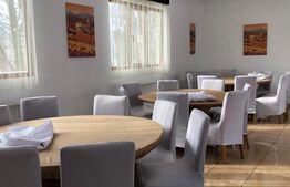 Teren intravilan de vânzare, 92.545 mp, zona Geamăna, Codlea