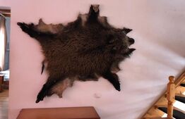 Teren intravilan de vânzare, 92.545 mp, zona Geamăna, Codlea