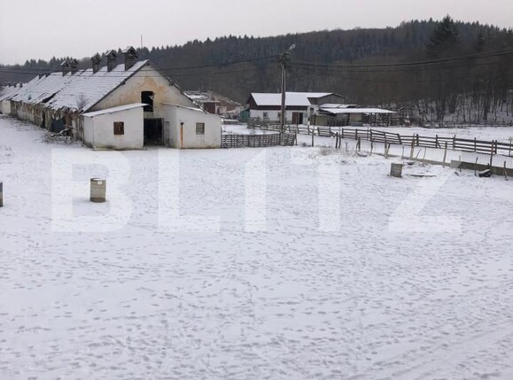 Teren de vânzare Nord-Vest - 173503TV | BLITZ Brașov | Poza5