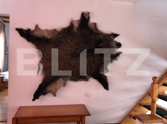 Teren de vânzare Nord-Vest - 173503TV | BLITZ Brașov | Poza19