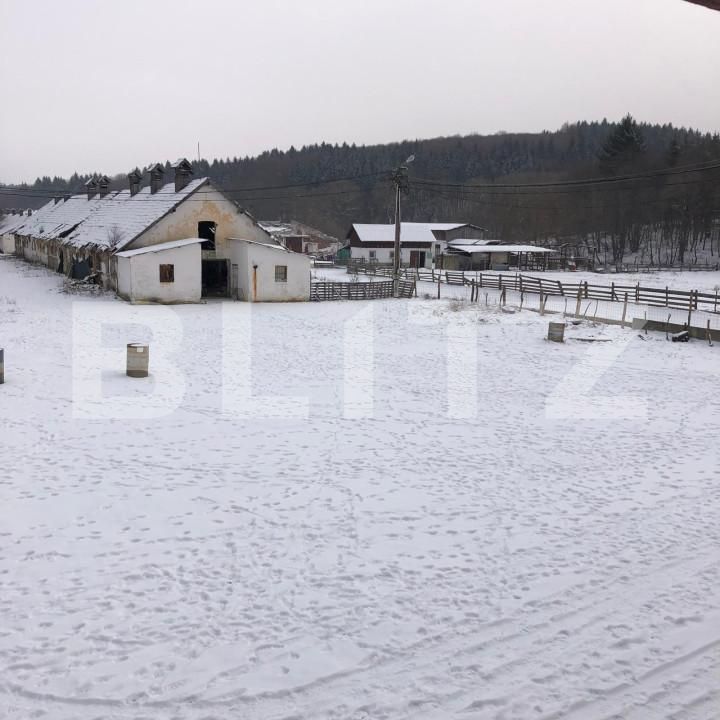 Teren de vânzare Nord-Vest - 173503TV | BLITZ Brașov | Poza5