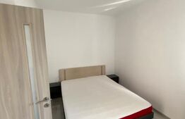 Apartament mobilat si utilat, parcare, gradina, zona Vivo