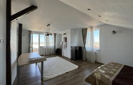 Apartament 4 camere, 160 mp, zona strazii Eftimie Murgu