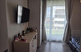 Apartament tip penthouse, 74mp, terasa panoramica pe 3 parti, 85mp, Europa