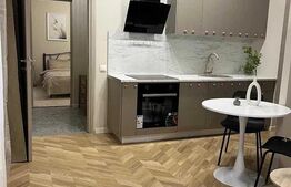 Apartament 2 camere, pet friendly, zona Centrala