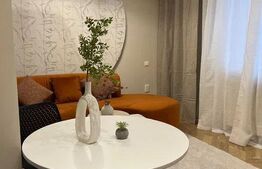 Apartament 2 camere, pet friendly, zona Centrala