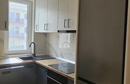 Apartament semidecomandat cu 3 camere, mobilat si utilat, zona Tauti