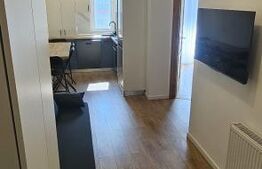 Apartament semidecomandat cu 3 camere, mobilat si utilat, zona Tauti