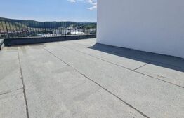 Casa de vanzare, cu 5 camere, 200 mp utili, 245 mp de teren, zona Teilor