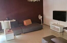 Apartament semidecomandat, 51 mp utili, cu gradina, zona Eroilor