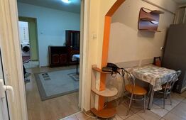 Apartament de inchiriat, cu 3 camere, 58 mp, Pet Friendly, zona Horea 
