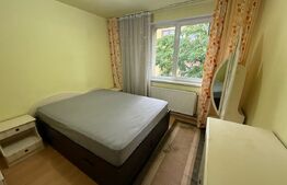 Apartament de inchiriat, cu 3 camere, 58 mp, Pet Friendly, zona Horea 