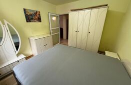 Apartament de inchiriat, cu 3 camere, 58 mp, Pet Friendly, zona Horea 