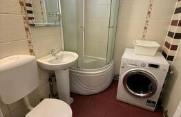 Apartament de inchiriat, cu 3 camere, 58 mp, Pet Friendly, zona Horea 