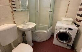 Apartament de inchiriat, cu 3 camere, 58 mp, Pet Friendly, zona Horea 