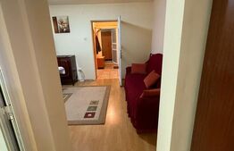 Apartament de inchiriat, cu 3 camere, 58 mp, Pet Friendly, zona Horea 