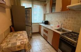 Apartament de inchiriat, cu 3 camere, 58 mp, Pet Friendly, zona Horea 