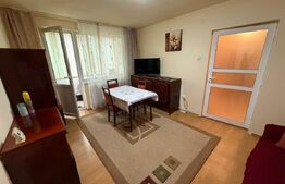 Apartament de inchiriat, cu 3 camere, 58 mp, Pet Friendly, zona Horea 