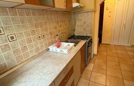 Apartament de inchiriat, cu 3 camere, 58 mp, Pet Friendly, zona Horea 