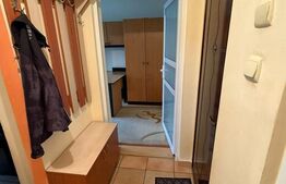 Apartament de inchiriat, cu 3 camere, 58 mp, Pet Friendly, zona Horea 