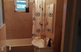 Apartament de inchiriat, cu 2 camere, Pet friendly 46 mp, zona Iulius Mall