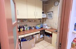 Casa individuala , 3 garaje , terasa ,  352mp utili, zona Dambu Rotund