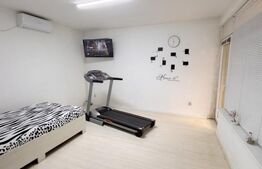 Casa individuala , 3 garaje , terasa ,  352mp utili, zona Dambu Rotund