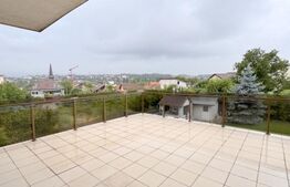 Casa individuala , 3 garaje , terasa ,  352mp utili, zona Dambu Rotund