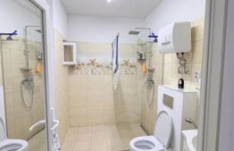 Casa individuala , 3 garaje , terasa ,  352mp utili, zona Dambu Rotund