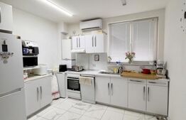 Casa individuala , 3 garaje , terasa ,  352mp utili, zona Dambu Rotund