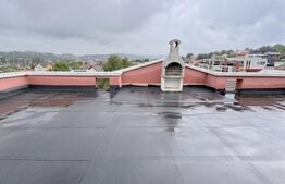 Casa individuala , 3 garaje , terasa ,  352mp utili, zona Dambu Rotund