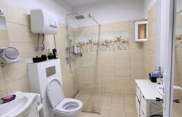 Casa individuala , 3 garaje , terasa ,  352mp utili, zona Dambu Rotund