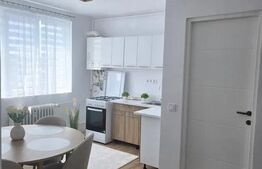 Apartament 2 camere, modern, zona Iulius