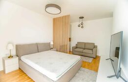Apartament  lux cu o camera, decomandat,  parcare,  zona Iulius