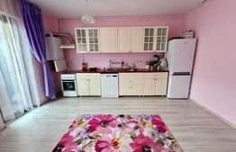 Apartament 2 camere zona Subcetate