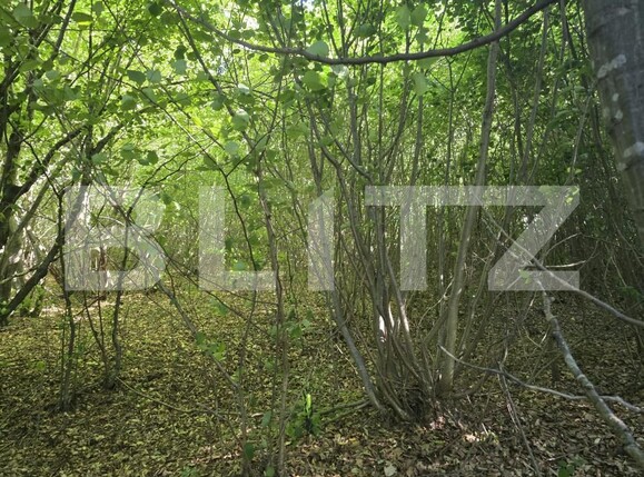 Teren de vânzare Făget - 173811TV | BLITZ Cluj-Napoca | Poza7