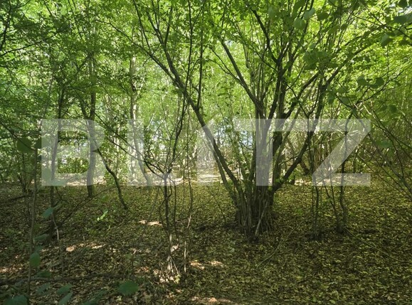 Teren de vânzare Făget - 173811TV | BLITZ Cluj-Napoca | Poza5