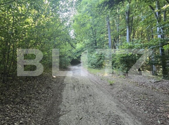 Teren de vânzare Făget - 173811TV | BLITZ Cluj-Napoca | Poza4