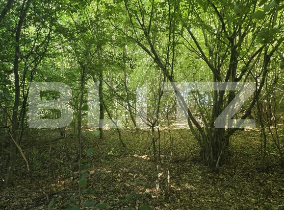 Teren de vânzare Făget - 173811TV | BLITZ Cluj-Napoca | Poza2