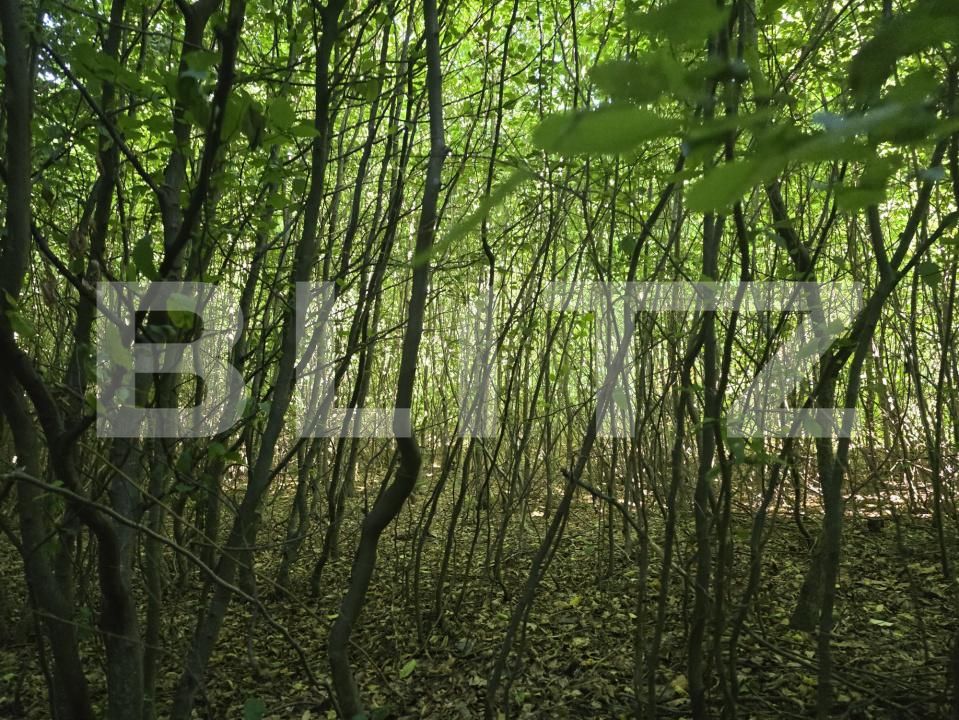 Teren de vânzare Făget - 173811TV | BLITZ Cluj-Napoca | Poza3