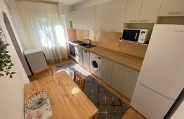 Apartament de vanzare, cu 3 camere, 53 mp, balcon, la cheie, zona Manastur