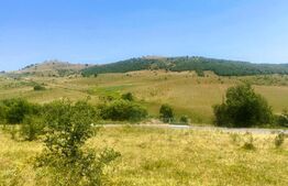 Teren construibil, 1100 mp, cu certificat de urbanism, Salicea