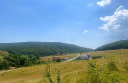 Teren construibil, 1100 mp, cu certificat de urbanism, Salicea