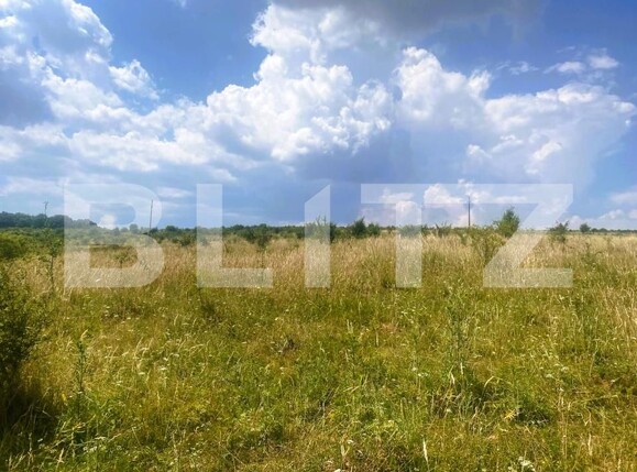 Teren de vânzare Salicea - 173835TV | BLITZ Cluj-Napoca | Poza1